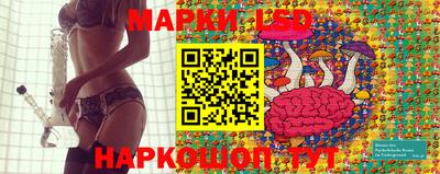 гашик Малгобек