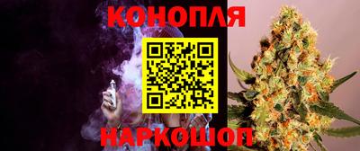 гашик Малгобек
