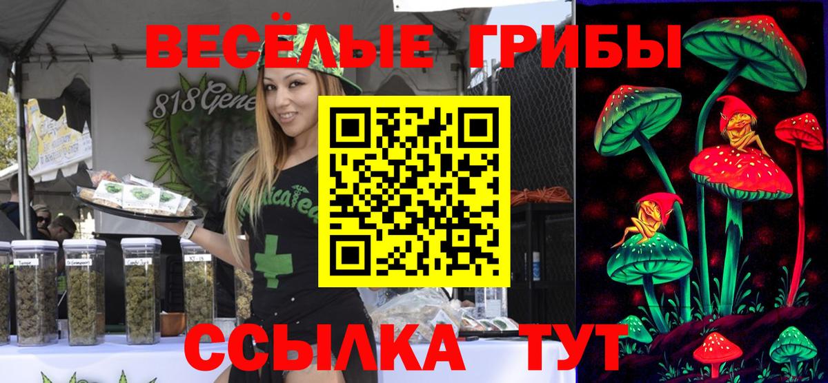 Галлюциногенные грибы Cubensis Черкесск