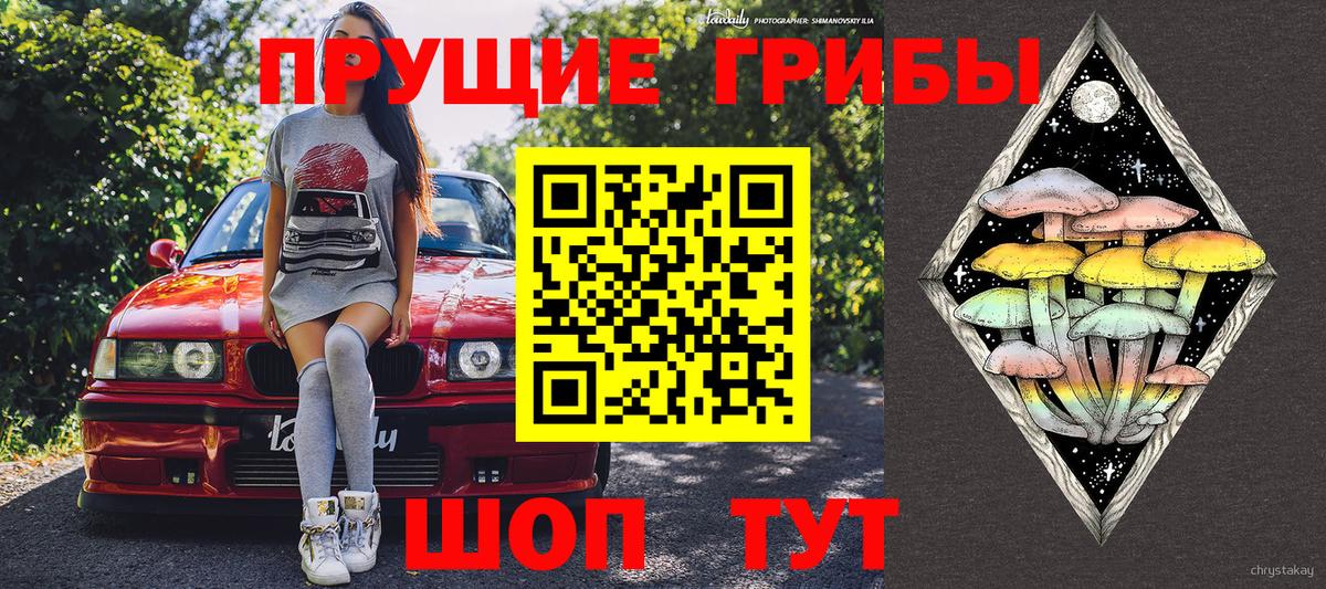 цена наркотик  Вход с VPN  Черкесск  Галлюциногенные грибы Psilocybine cubensis  Псилоцибиновые грибы GOLDEN TEACHER 
